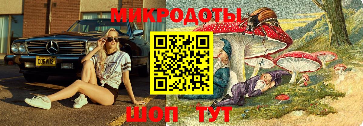 Псилоцибиновые грибы ЛСД  Вход с VPN  Пугачёв 