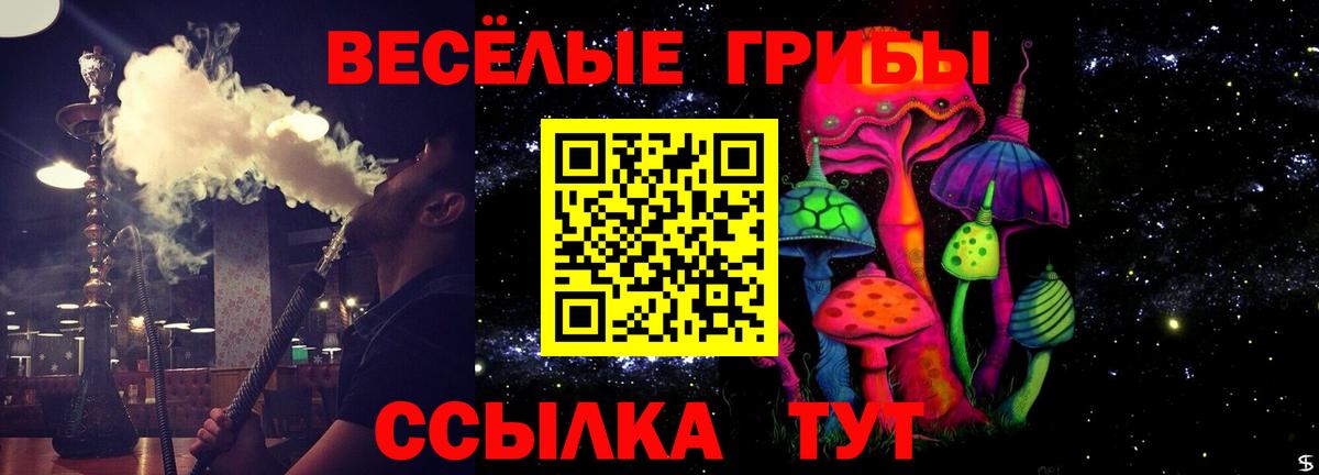 Псилоцибиновые грибы Psilocybine cubensis Пугачёв