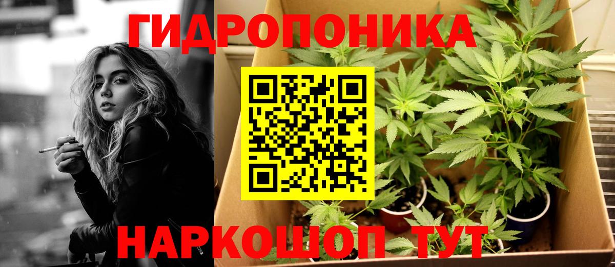 Марихуана White Widow Пугачёв